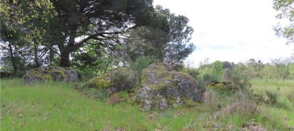 1 Schlafzimmer Haus in Penamacor, Portugal, Nr. 63141 35