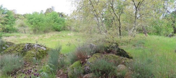 1 Schlafzimmer Haus in Penamacor, Portugal, Nr. 63141 32