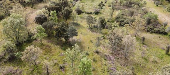 1 Schlafzimmer Haus in Penamacor, Portugal, Nr. 63141 18