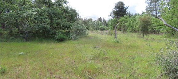 1 Schlafzimmer Haus in Penamacor, Portugal, Nr. 63141 45