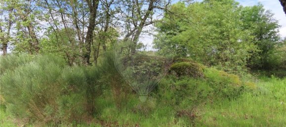 1 Schlafzimmer Haus in Penamacor, Portugal, Nr. 63141 33