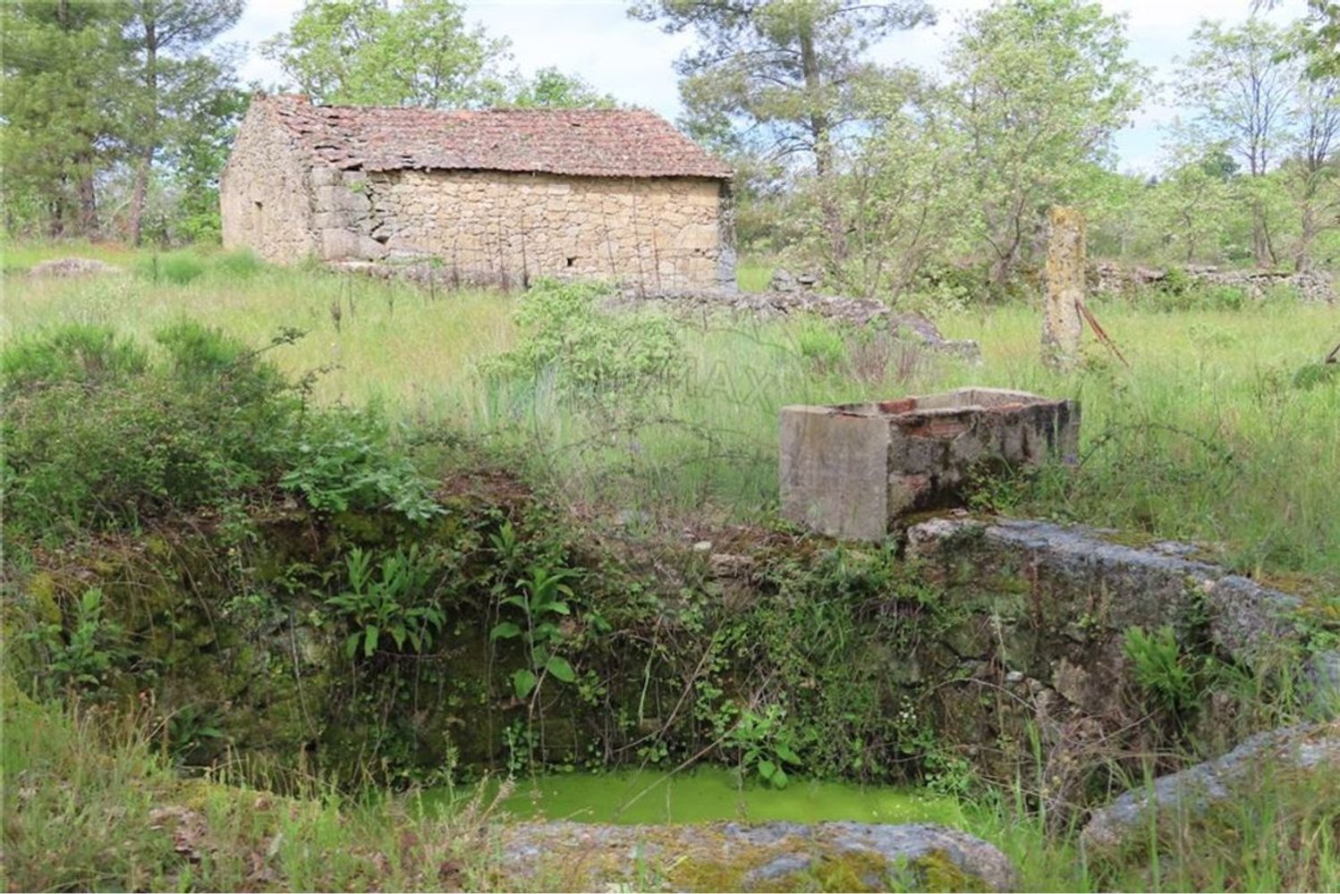 1 Schlafzimmer Haus in Penamacor, Portugal, Nr. 63141