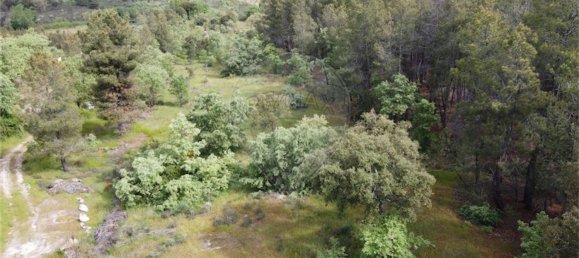 1 Schlafzimmer Haus in Penamacor, Portugal, Nr. 63141 4