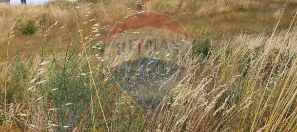 726m² Land in Braganca, Portugal No. 88227 4