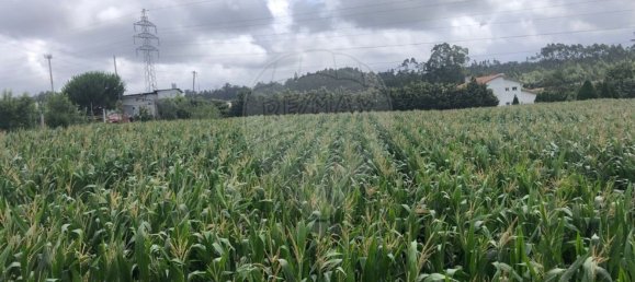 Terreno en Avanca, Portugal 2000 m² No. 89021 3