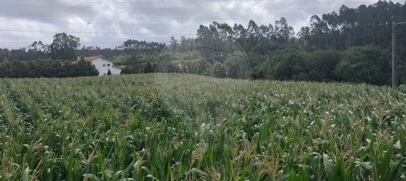Terreno en Avanca, Portugal 2000 m² No. 89021 2