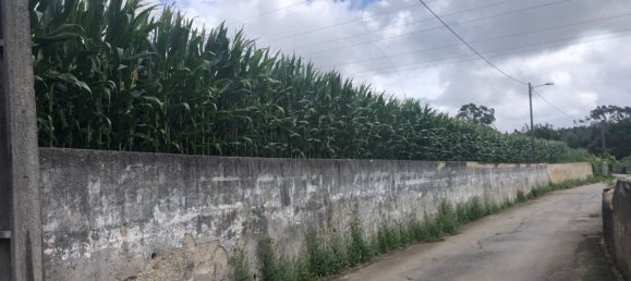 Terreno en Avanca, Portugal 2000 m² No. 89021 5