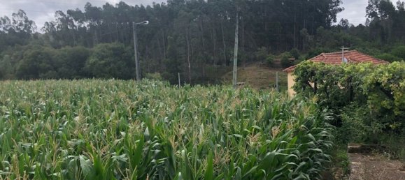 Terreno en Avanca, Portugal 2000 m² No. 89021 4