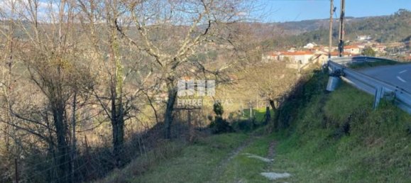 11159m² Land in Soalhaes, Portugal No. 56133 5