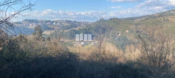 11159m² Land in Soalhaes, Portugal No. 56133 2