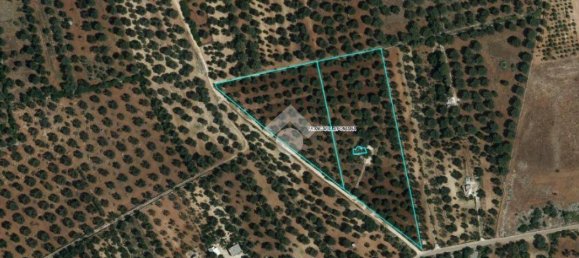 1 Schlafzimmer Haus in Francavilla Fontana, Italy, Nr. 301809 17