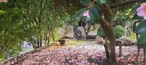 4 bedrooms House in Vila Real, Portugal No. 124426 21