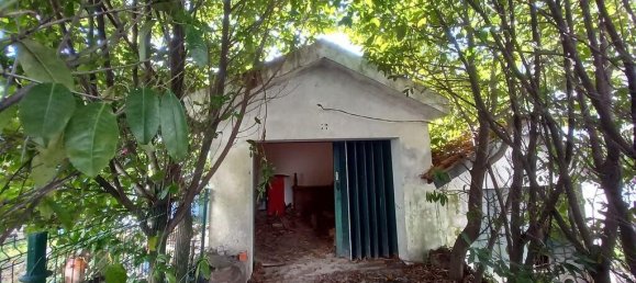 4 bedrooms House in Vila Real, Portugal No. 124426 15