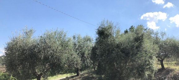 8 bedrooms House in Cossignano, Italy No. 372207 7