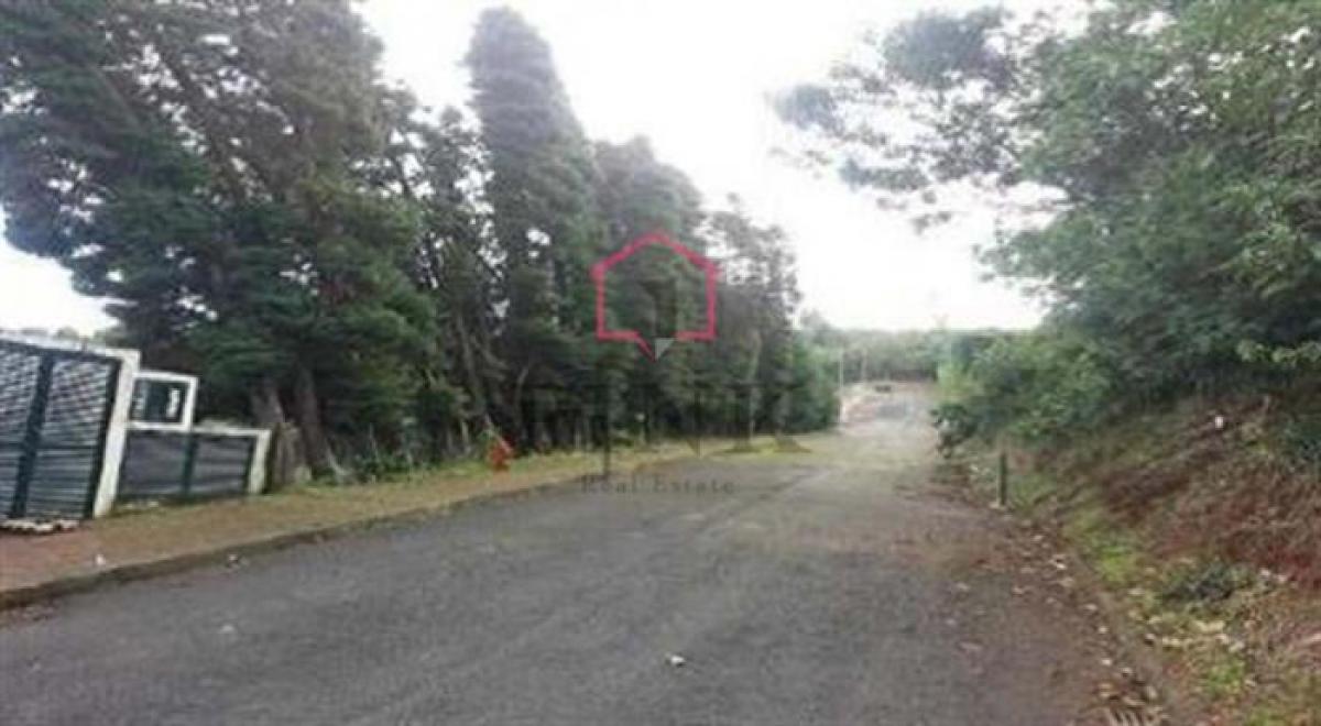  Land in Machico, Portugal No. 2054