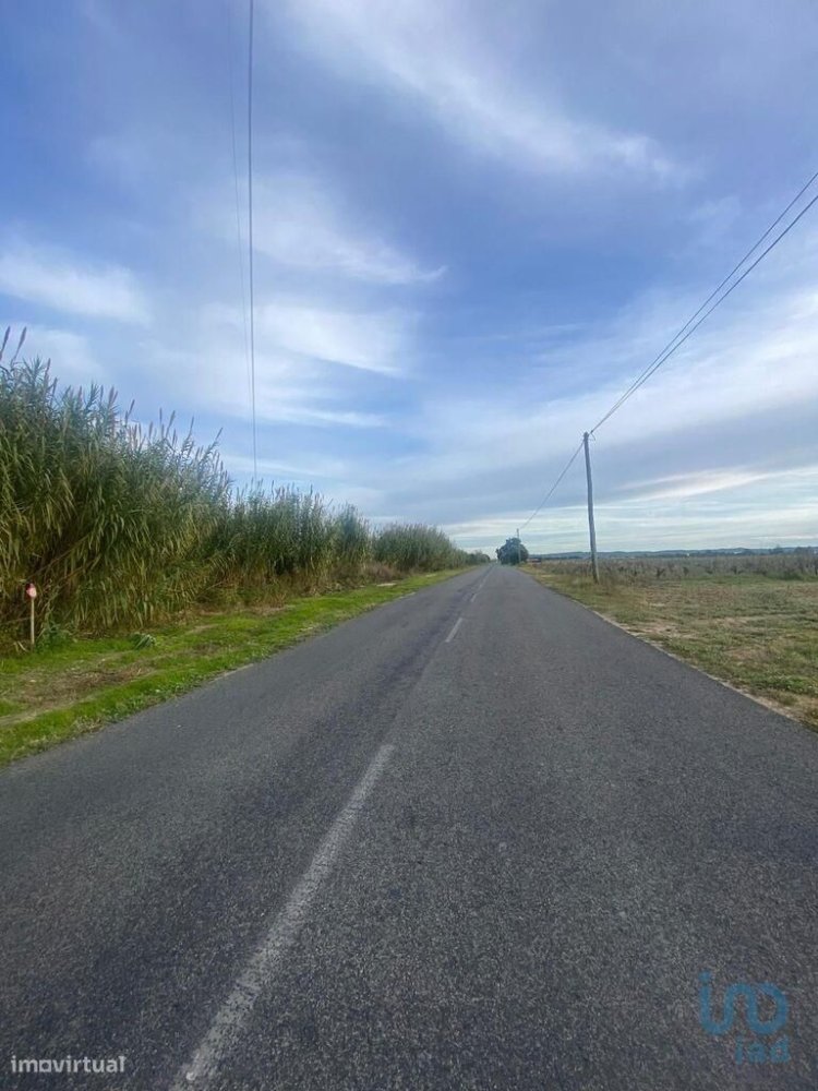 20120m² Land in Almeirim, Portugal No. 223501