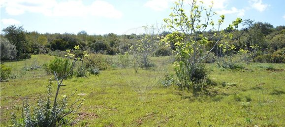  قطعة أرض في Olhao, Portugal 80000متر مربع رقم 35606 10