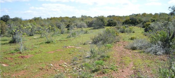  قطعة أرض في Olhao, Portugal 80000متر مربع رقم 35606 8