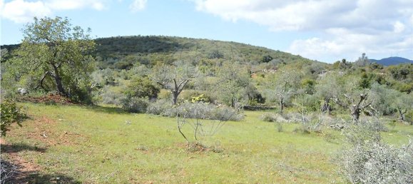  قطعة أرض في Olhao, Portugal 80000متر مربع رقم 35606 19