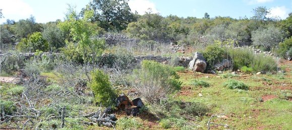  قطعة أرض في Olhao, Portugal 80000متر مربع رقم 35606 4