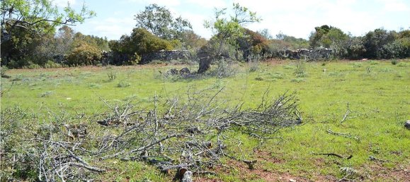  قطعة أرض في Olhao, Portugal 80000متر مربع رقم 35606 3