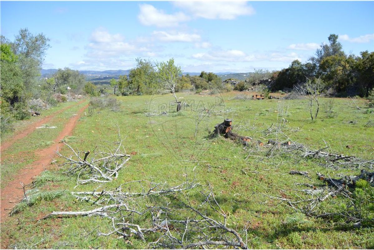  قطعة أرض في Olhao, Portugal 80000متر مربع رقم 35606