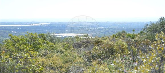  قطعة أرض في Olhao, Portugal 80000متر مربع رقم 35606 13
