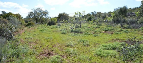  قطعة أرض في Olhao, Portugal 80000متر مربع رقم 35606 7