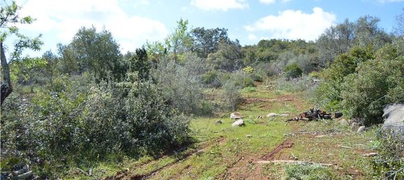  قطعة أرض في Olhao, Portugal 80000متر مربع رقم 35606 2