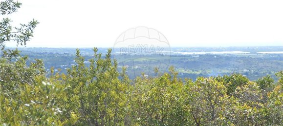  قطعة أرض في Olhao, Portugal 80000متر مربع رقم 35606 15