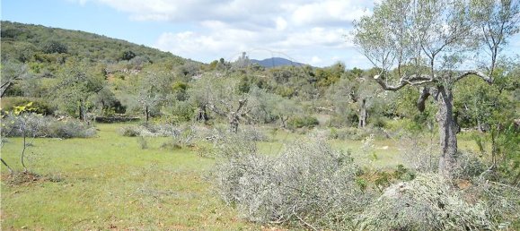  قطعة أرض في Olhao, Portugal 80000متر مربع رقم 35606 20