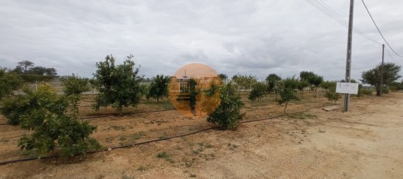 Отель, гостиница с 9 спальнями в Гия, Португалия № 10093 26