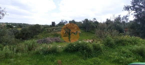 Отель, гостиница с 9 спальнями в Гия, Португалия № 10093 28