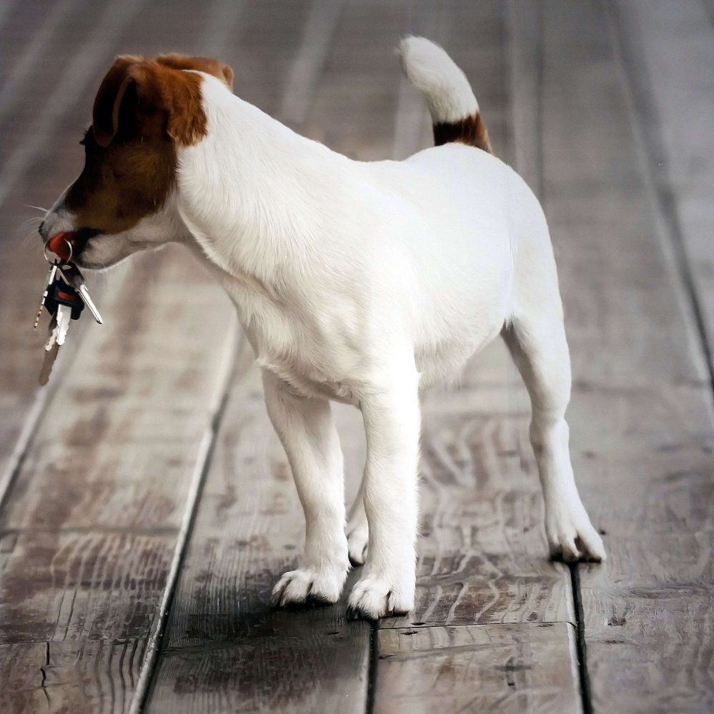 Casa T3 em Rhein-Erft, Germany N.º 123670