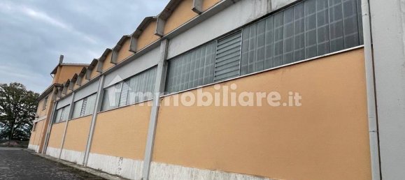 5 rooms Commercial property in Monte Compatri, Italy No. 63611 3