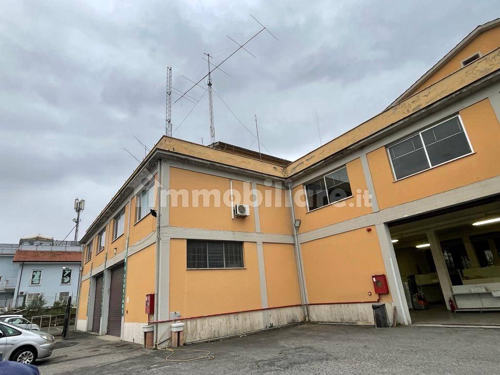 5 rooms Commercial property in Monte Compatri, Italy No. 63611