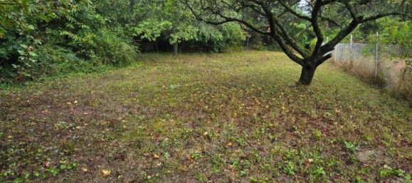 7 rooms House in Klosterneuburg, Austria No. 162283 3