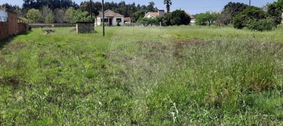  قطعة أرض في Vilarinho do Bairro, Portugal 2100متر مربع رقم 72477 6