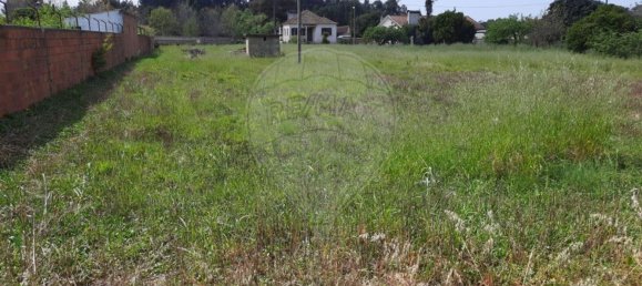  قطعة أرض في Vilarinho do Bairro, Portugal 2100متر مربع رقم 72477 9