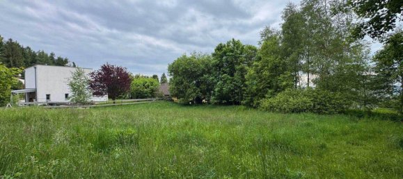 Земельный участок 1041м² в Айденберг, Австрия № 164643 4