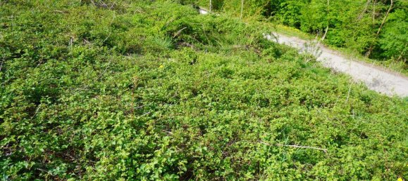 Terreno en Altlengbach, Austria No. 163277 5