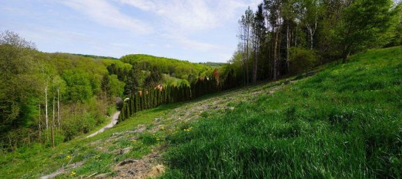 Terreno en Altlengbach, Austria No. 163277 4