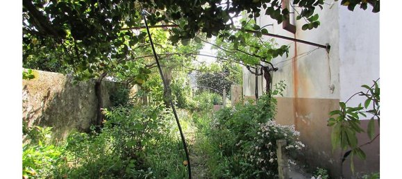 6 bedrooms House in Tabua, Portugal No. 21758 6