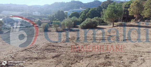 Grundstück in Messina, Italy 14306m², Nr. 128260 6