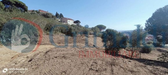 Grundstück in Messina, Italy 14306m², Nr. 128260 4