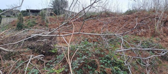 8500m² Land in Pozzuoli, Italy No. 85203 18