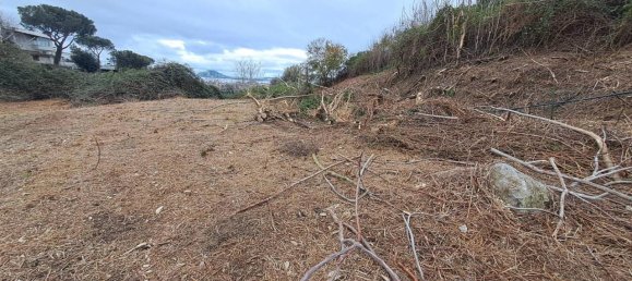 8500m² Land in Pozzuoli, Italy No. 85203 13