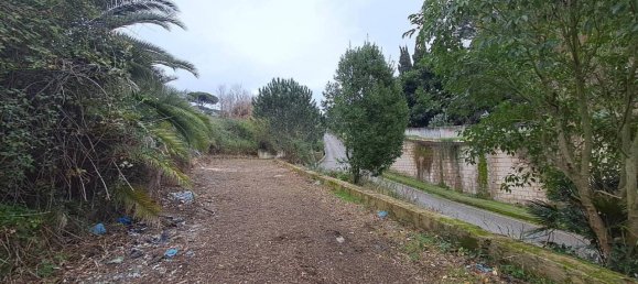 8500m² Land in Pozzuoli, Italy No. 85203 4