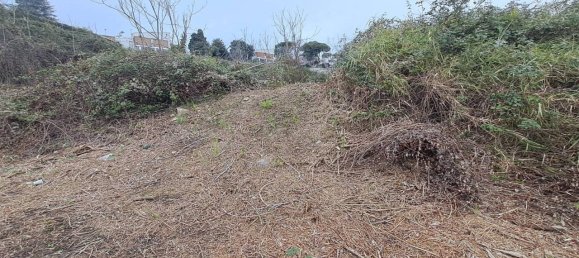 8500m² Land in Pozzuoli, Italy No. 85203 10