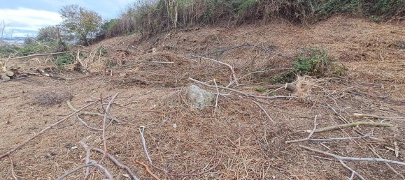 8500m² Land in Pozzuoli, Italy No. 85203 12